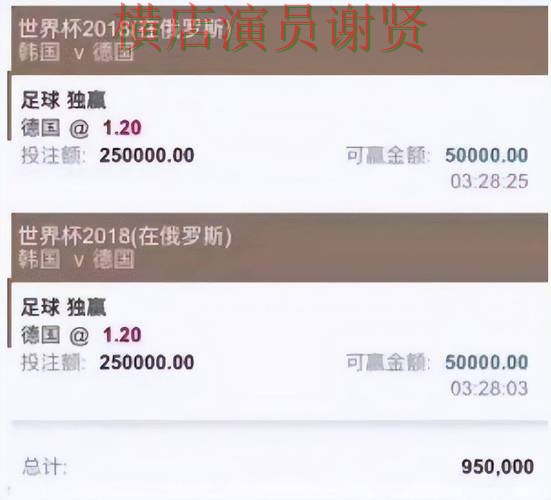 世界杯投注平台推荐盘点：数据分析全指南 - 世界杯直播